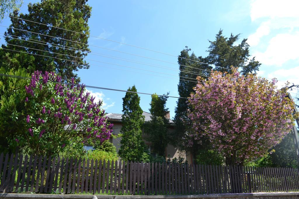 Var-Lak Vendeghaz Szendro Exteriér fotografie