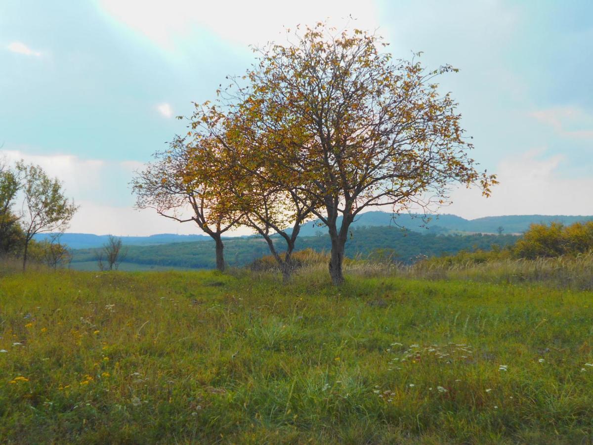 Var-Lak Vendeghaz Szendro Exteriér fotografie